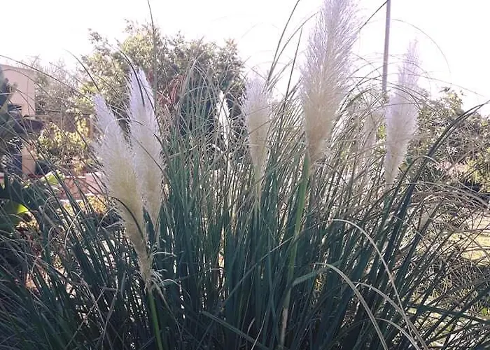 Milici Bed & Breakfast